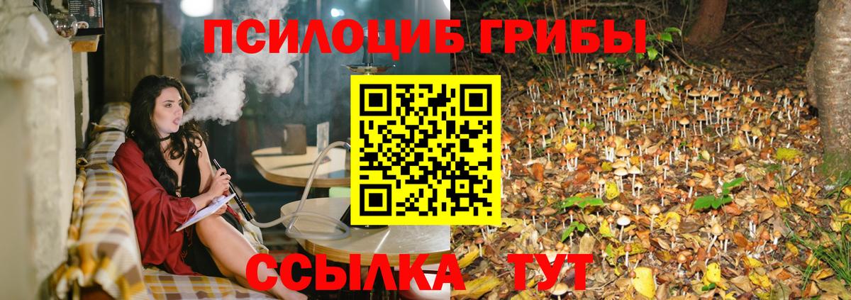 Саров  сколько стоит  Вход с VPN  Псилоцибиновые грибы прущие грибы 