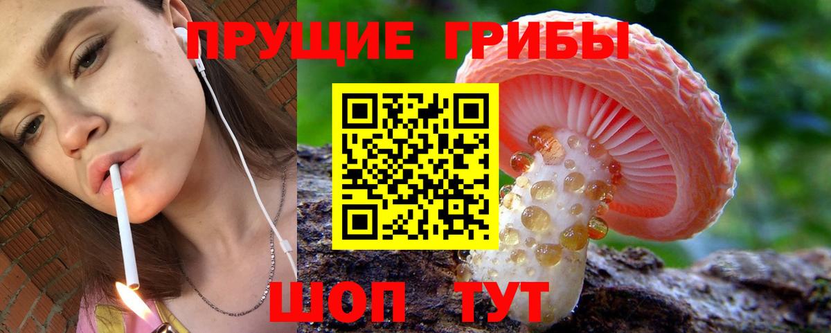 Псилоцибиновые грибы Cubensis Саров